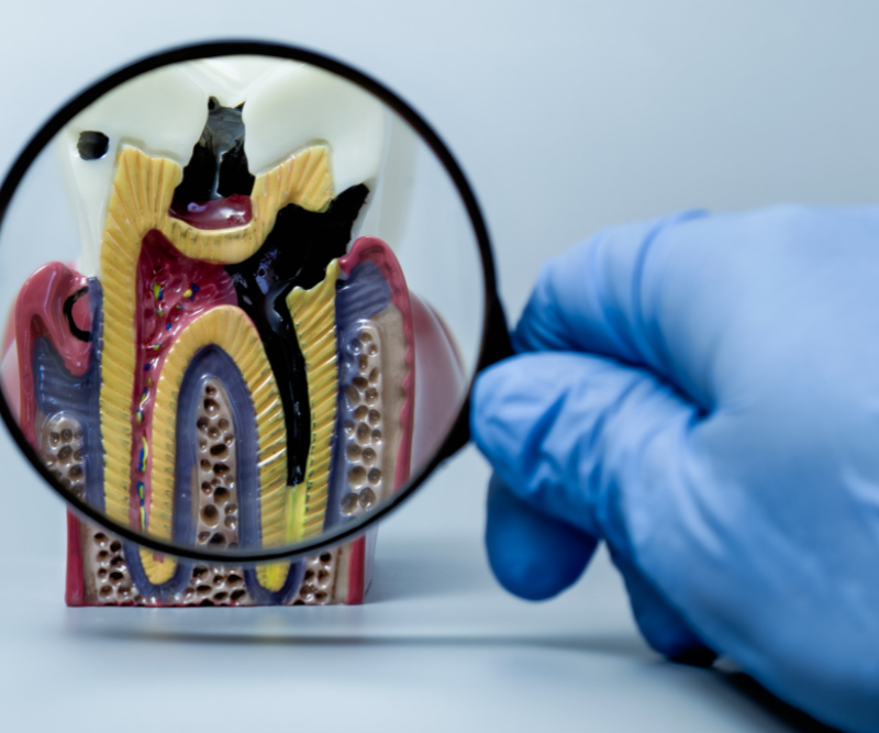 blog art dentica duże zdj - 2026-01-31T171713.307